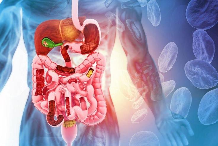 8 effective natural laxatives for stomach relief/Courtesy