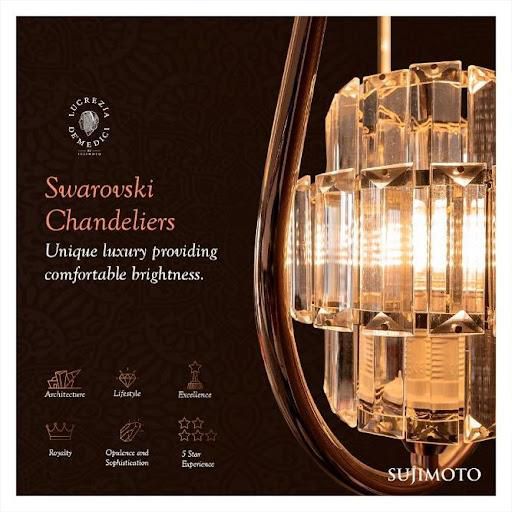 French CNN - TF1 TV Network celebrated the extraordinary achievements of Sijibomi Ogundele.