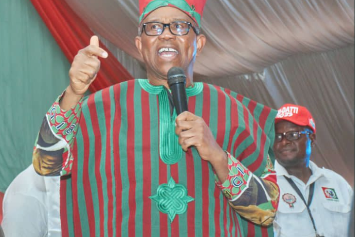 Labour Party Presidential candidate, Peter Obi.
