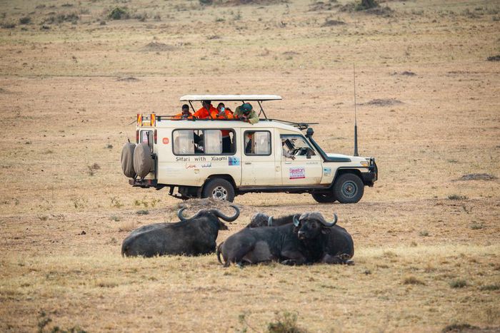 Safari with Xiaomi winners experience the iconic African wilderness, Maasai Mara.