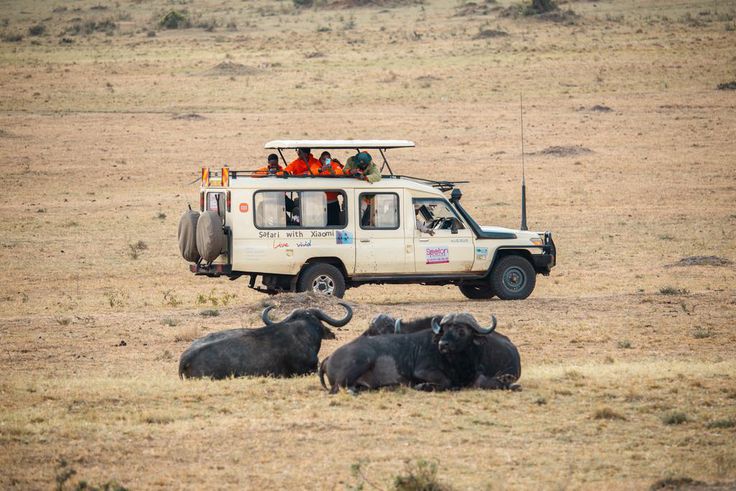 Safari with Xiaomi winners experience the iconic African wilderness, Maasai Mara.