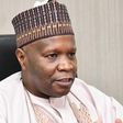 Gombe State Governor, Inuwa Yahaya (Punch)