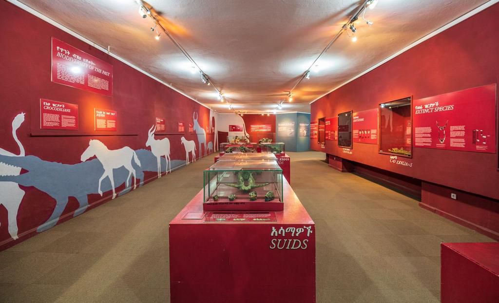 0101s120008dgk5x19996