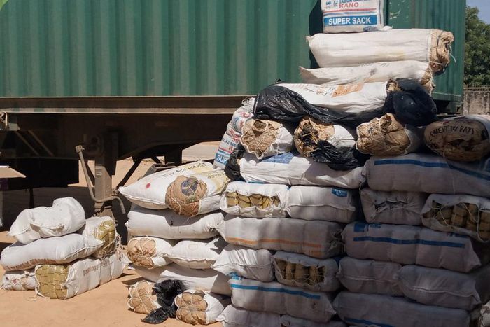 NDLEA arrests two-time female convict with 576kg of cannabis sativa in Kano. [NAN]