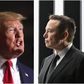 Former President Donald Trump, left, and Tesla CEO Elon Musk, right.