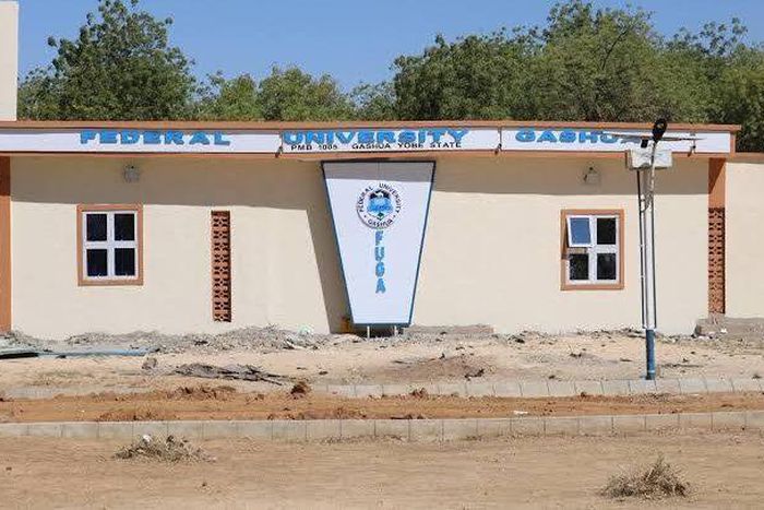 The Federal University Gashua, Yobe, (PeopleGazette)