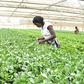 Uganda’s GDP growth hits 6.8% in first half of 2022/23 fiscal year