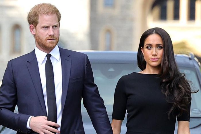 Meghan Markle and Prince Harry