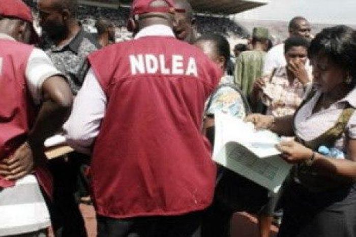 Operatives of the National Drug Law Enforcement Agency.