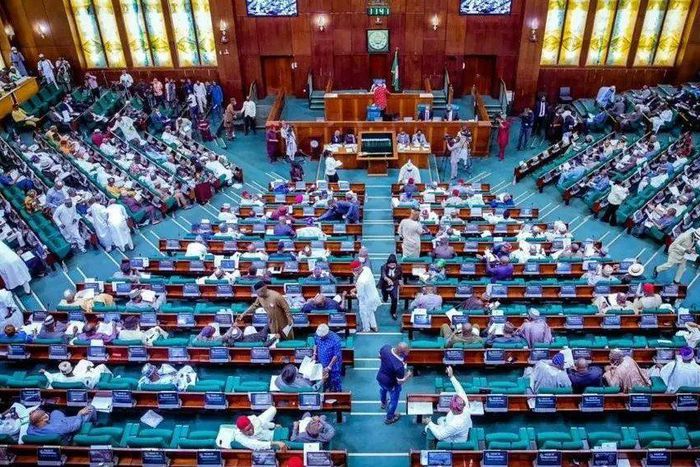 Federal government (Credit: Premium Times Nigeria)