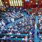 Federal government (Credit: Premium Times Nigeria)