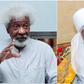 Ilorin Emir frowns at Soyinka’s accusation on Isese festival cancellation.