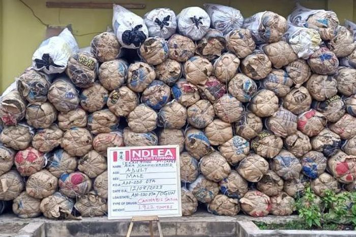 Some of the drugs intercepted by the operatives of the NDLEA. [Facebook:NDLEA]