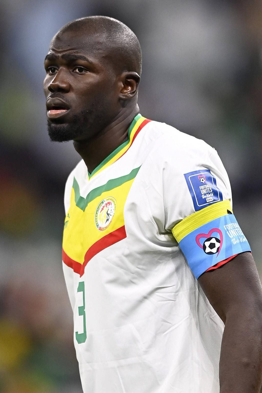 Kalidou Koulibaly in action against Netherland