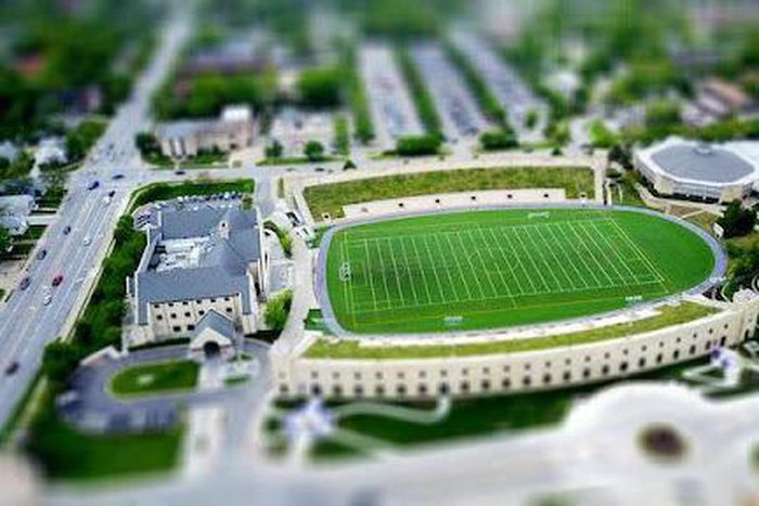 What Are the Favorite Teams for The World Cup?