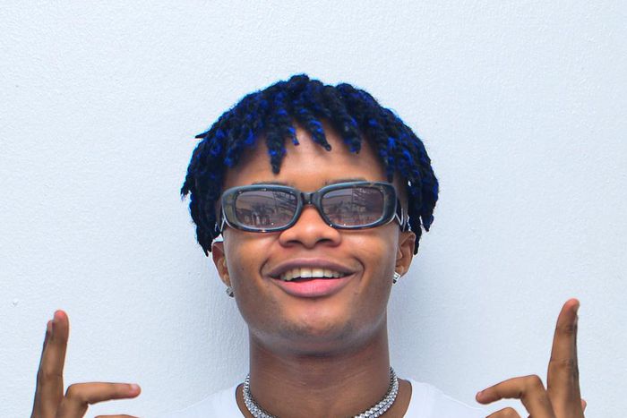 Crayon tells Pulse about his journey, signing to MAVIN, meeting Wizkid, Rema, Tiwa Savage, Don Jazzy and making music. (Pulse Nigeria)