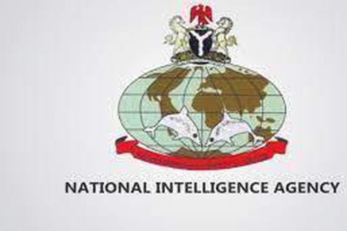 The Dolphin Association NIA retirees