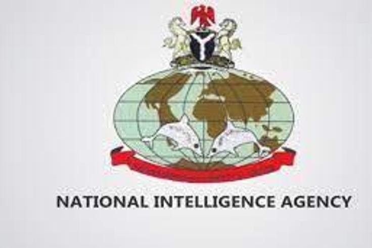 The Dolphin Association NIA retirees