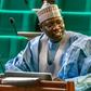 Rep. Abubakar Fulata [Daily Post]