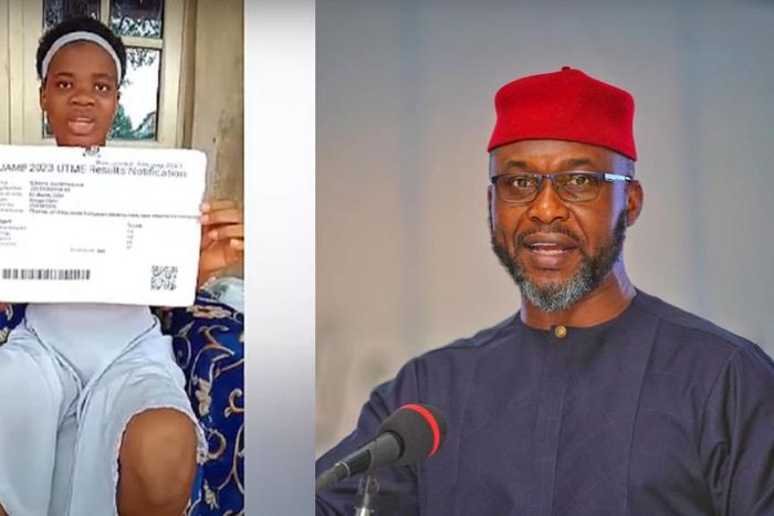 I'll beg JAMB to pardon you if you say the truth, Former Minister tells Nmesoma.