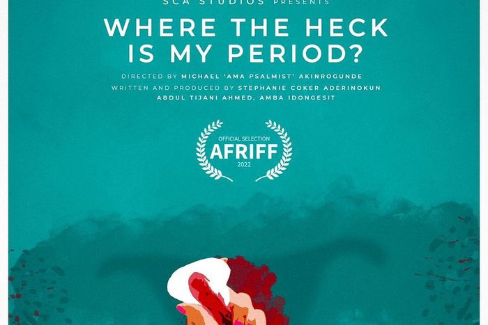‘Where the Heck is my Period?’ Documentary produced by Stephanie Coker