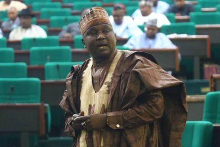 Alhassan Ado Doguwa (Premium Times)