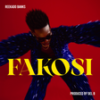 Reekado Banks unveils new exciting single 'Fakosi'