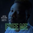 Akin Busari releases new album 'Free Me'