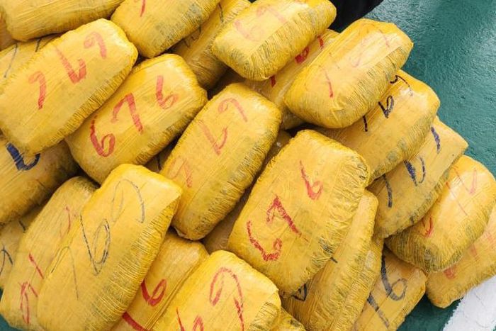 Customs intercept 553 parcels of cannabis sativa in Seme.