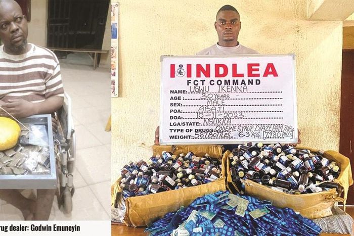 NDLEA arrests physically-challenged drug dealer in Edo