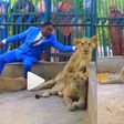 Pastor enters zoo, plays with lions to prove to church members that he’s powerful