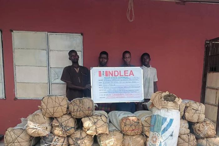 NDLEA intercepts 122,900 Tramadol pills, Exol-5 in 3 states. [Facebook:NDLEA]