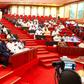 Nigerian Senate members (Premium Times)