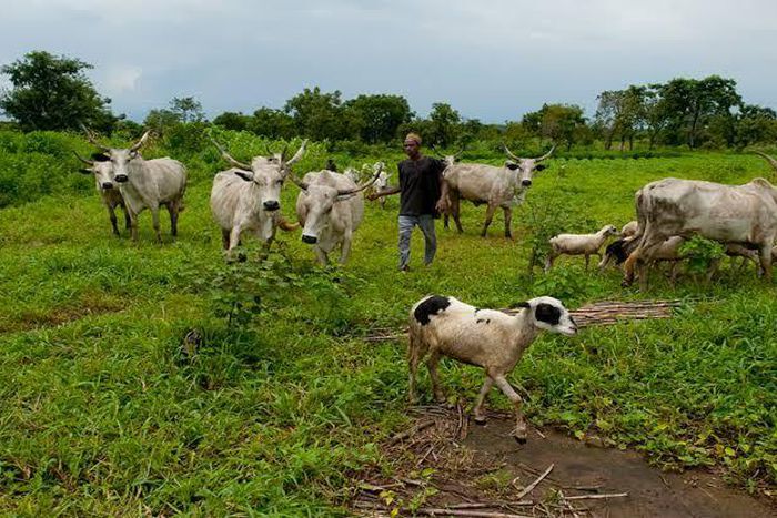 They killed six men and one lady in Pukah community [Peoples Gazette]