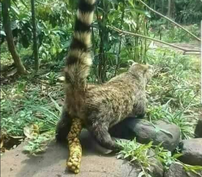 The process [Pinterest]