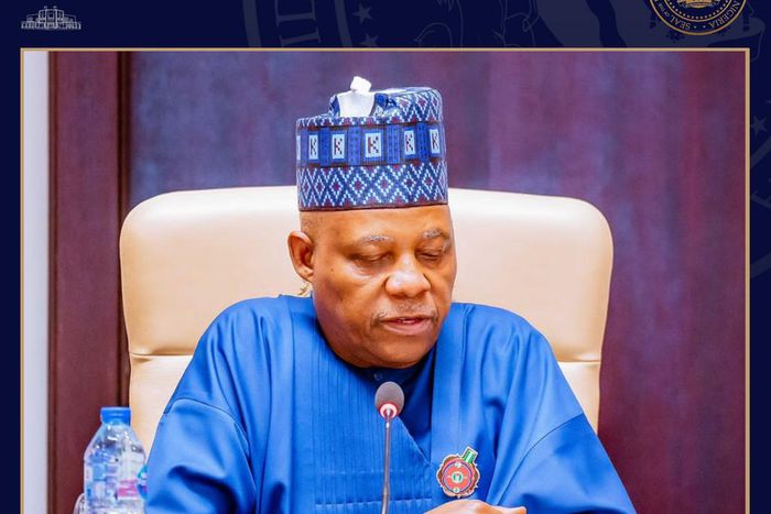 Vice President Kashim Shettima [Presidency]