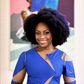 Festus Keyamo and Chimamanda Adichie