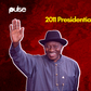 Goodluck Jonathan beat Muhammadu Buhari by more than 10 million votes in the 2011 presidential election