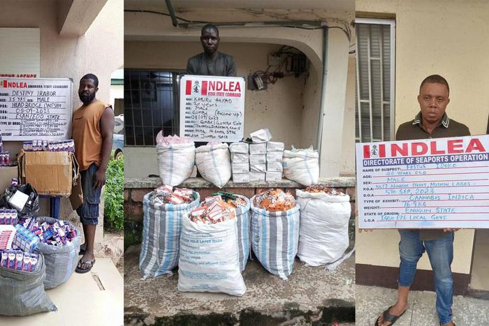NDLEA seizes 685kg illicit drugs, dismantles 13 drug joints in Kaduna. [Facebook:NDLEA]