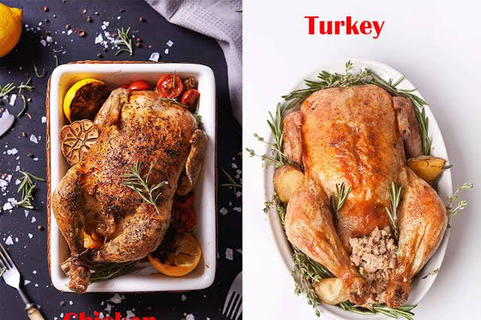 Turkey vs Chicken