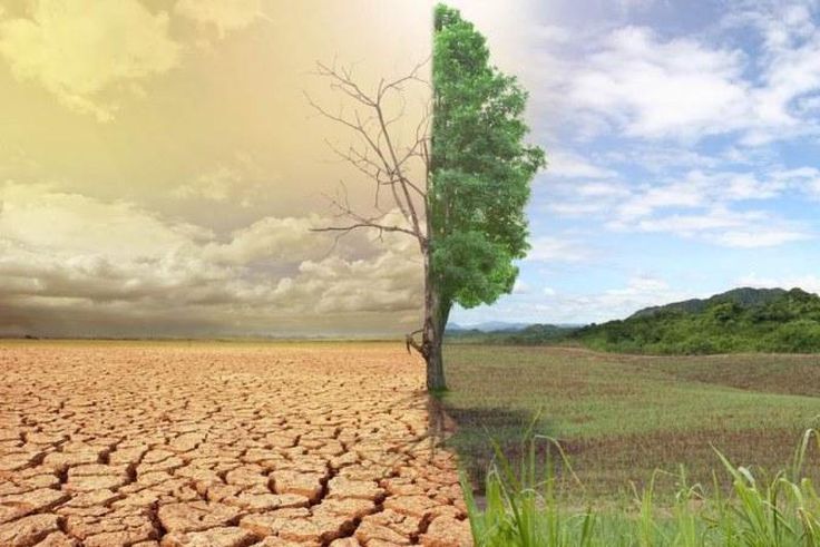 African countries most committed to climate change