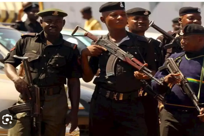 Efforts are being made to apprehend the buyer [Punch]