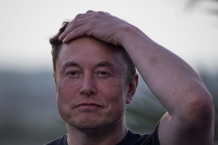 Elon Musk acquired Twitter for $44 billion.Adrees Latif/Reuters