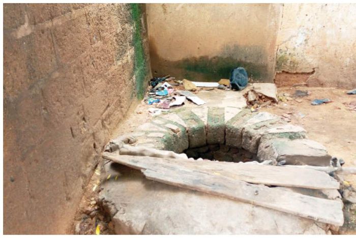 She picked a bucket to fetch from the well, and slipped [Daily Trust]
