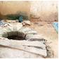 She picked a bucket to fetch from the well, and slipped [Daily Trust]