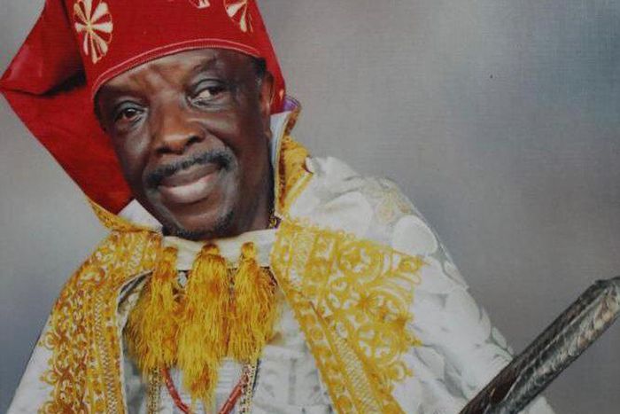 EKO Hospital co-founder Sonny Kuku  [The Punch]