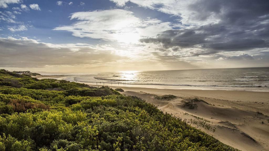 Paradise beach [CNN]