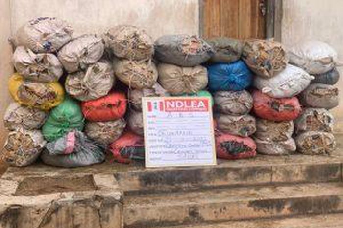 NDLEA seizes 5.8 tons of skunk, cannabis in 5 states