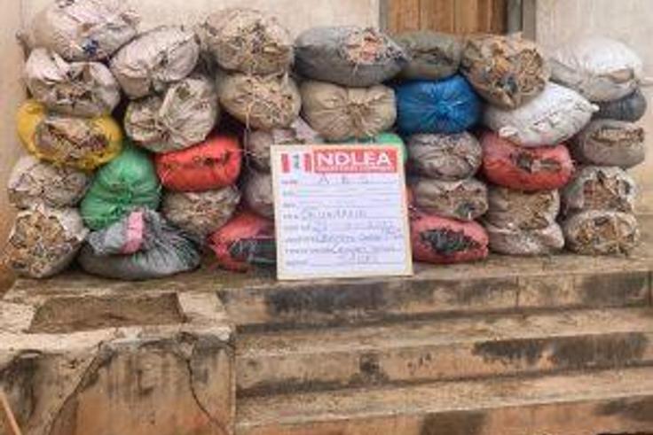 NDLEA seizes 5.8 tons of skunk, cannabis in 5 states