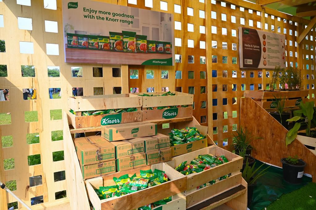 Spicing Up the Capital: Knorr Jollof Fest thrills Abuja